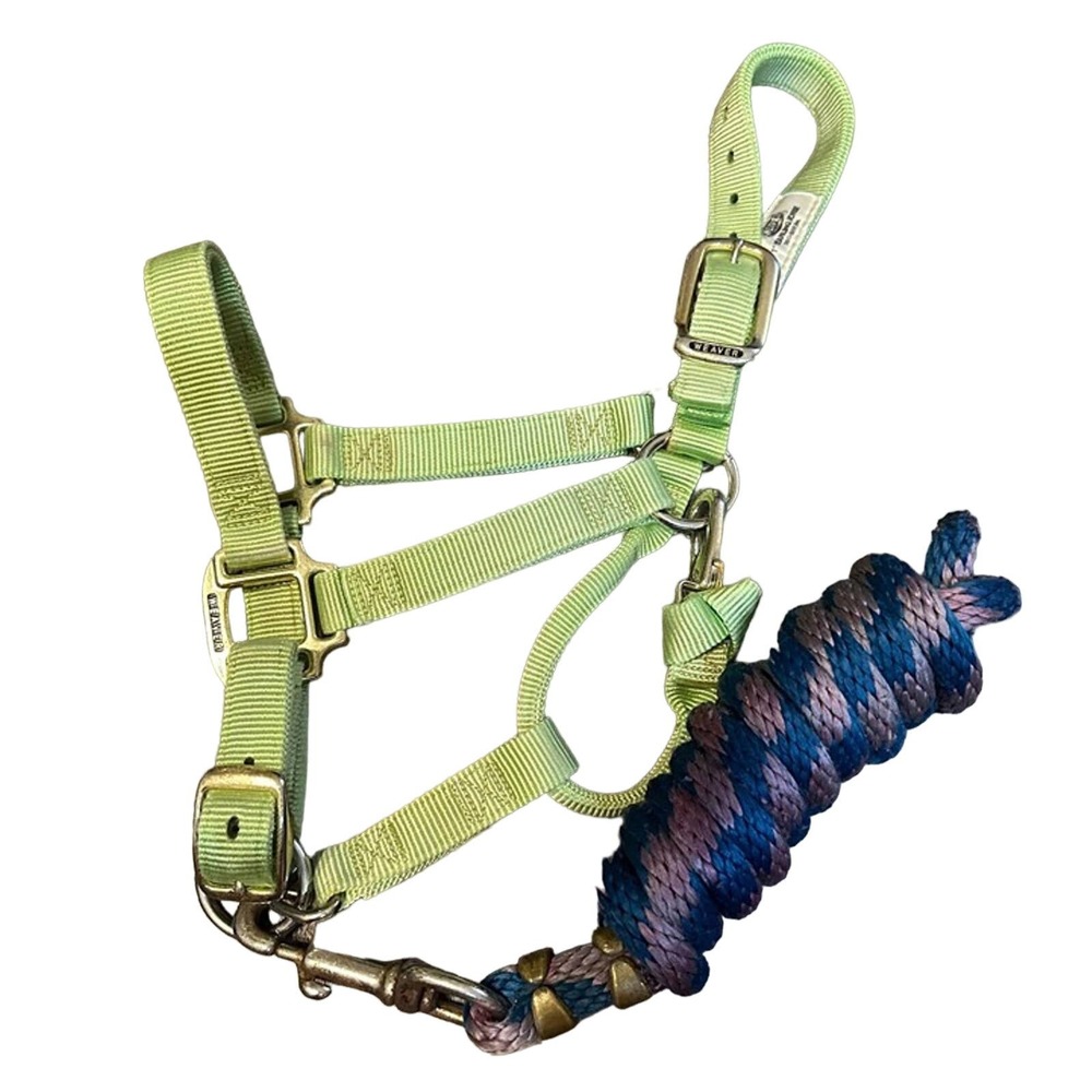 Weaver Lime Green Small Horse Halter and Lead Rope